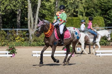 Bild 73 - Pony Akademie Turnier